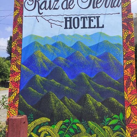 Hotel Raiz De Sierra Matlapa 外观 照片