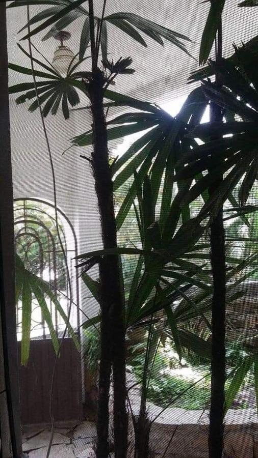 Hotel Raiz De Sierra Matlapa 外观 照片