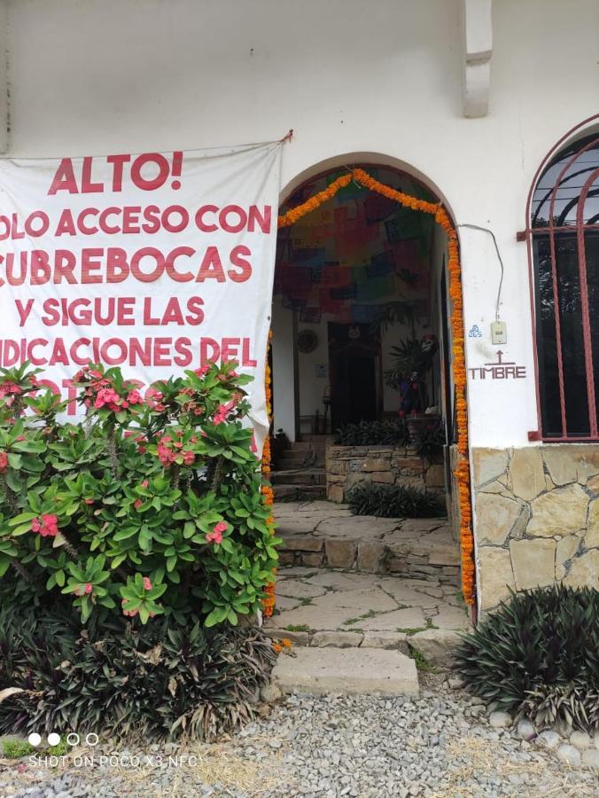 Hotel Raiz De Sierra Matlapa 外观 照片